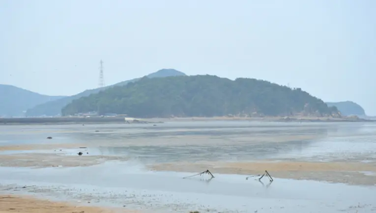 겨울방학 국내 여행지- 파란하늘 초록섬 물바딘 바다뻘