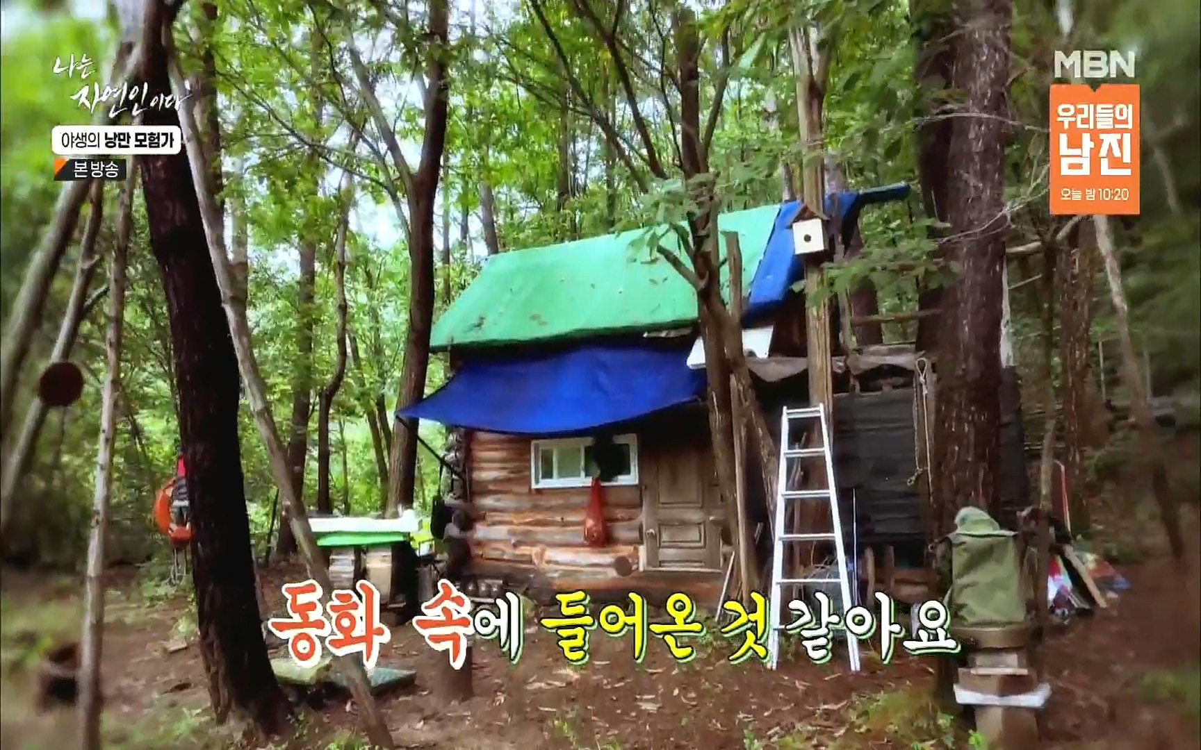 나는 자연인이다.E520.220921p.H264-F1RST.mp4_20220922_200043.215.jpg