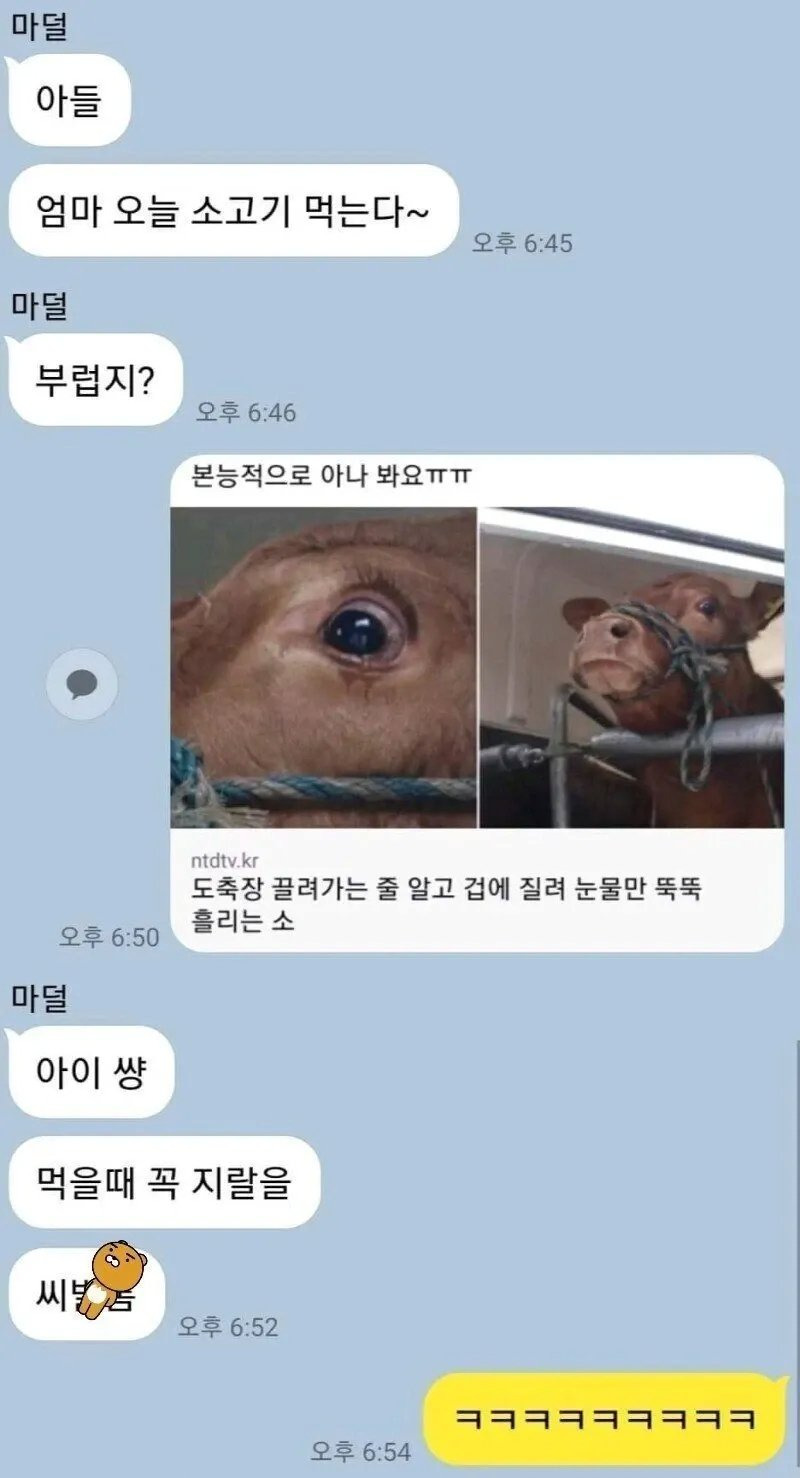소고기 먹는다고 자랑하는 엄마