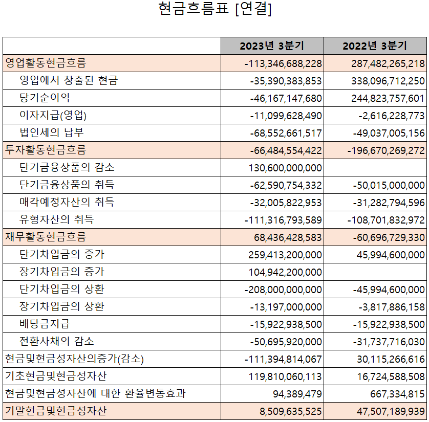 심텍 - 현금흐름표