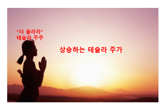  테슬라 주식 싸게사는법