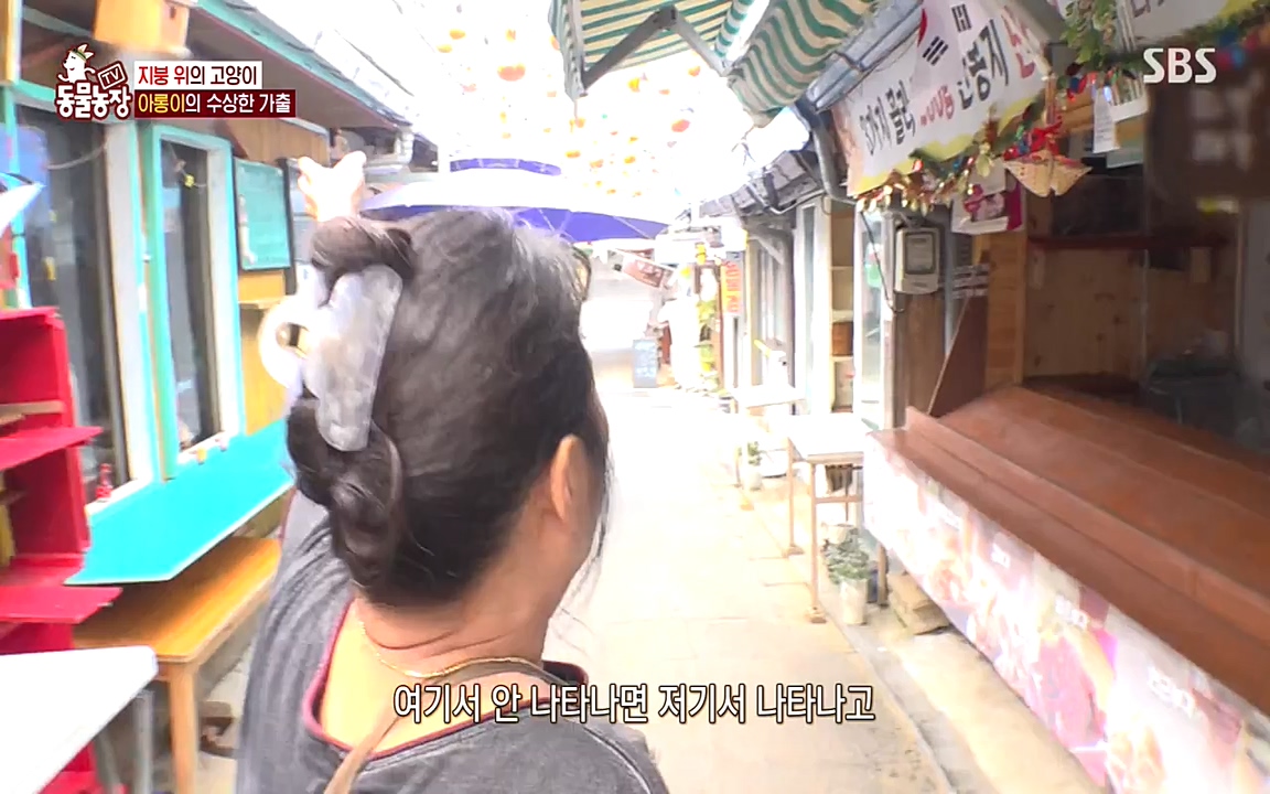 TV 동물농장.E1079.220725p-NEXT.mp4_20220724_151932.620.jpg