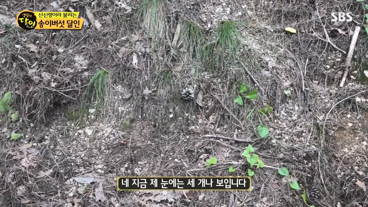 생활의 달인.E907.231010p-NEXT.mp4_20231010_202818.490.jpg