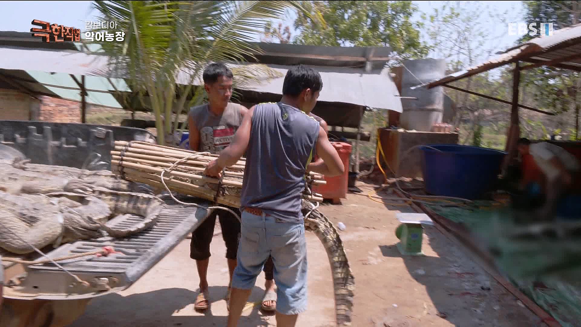 캄보디아 악어농장 230325.mp4_20230327_194959.258.jpg
