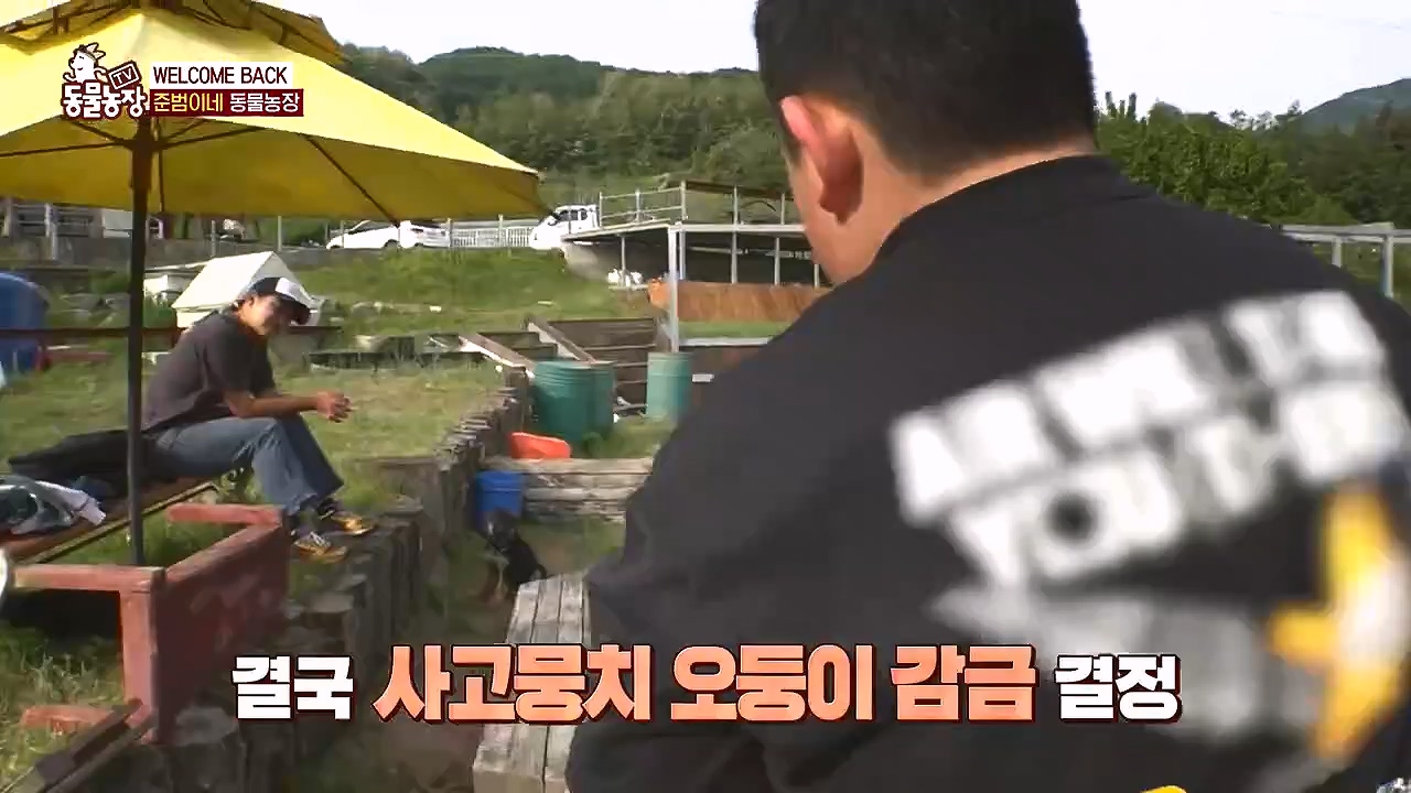 TV 동물농장.E1178.240630.ts_20240630_164639.966.jpg