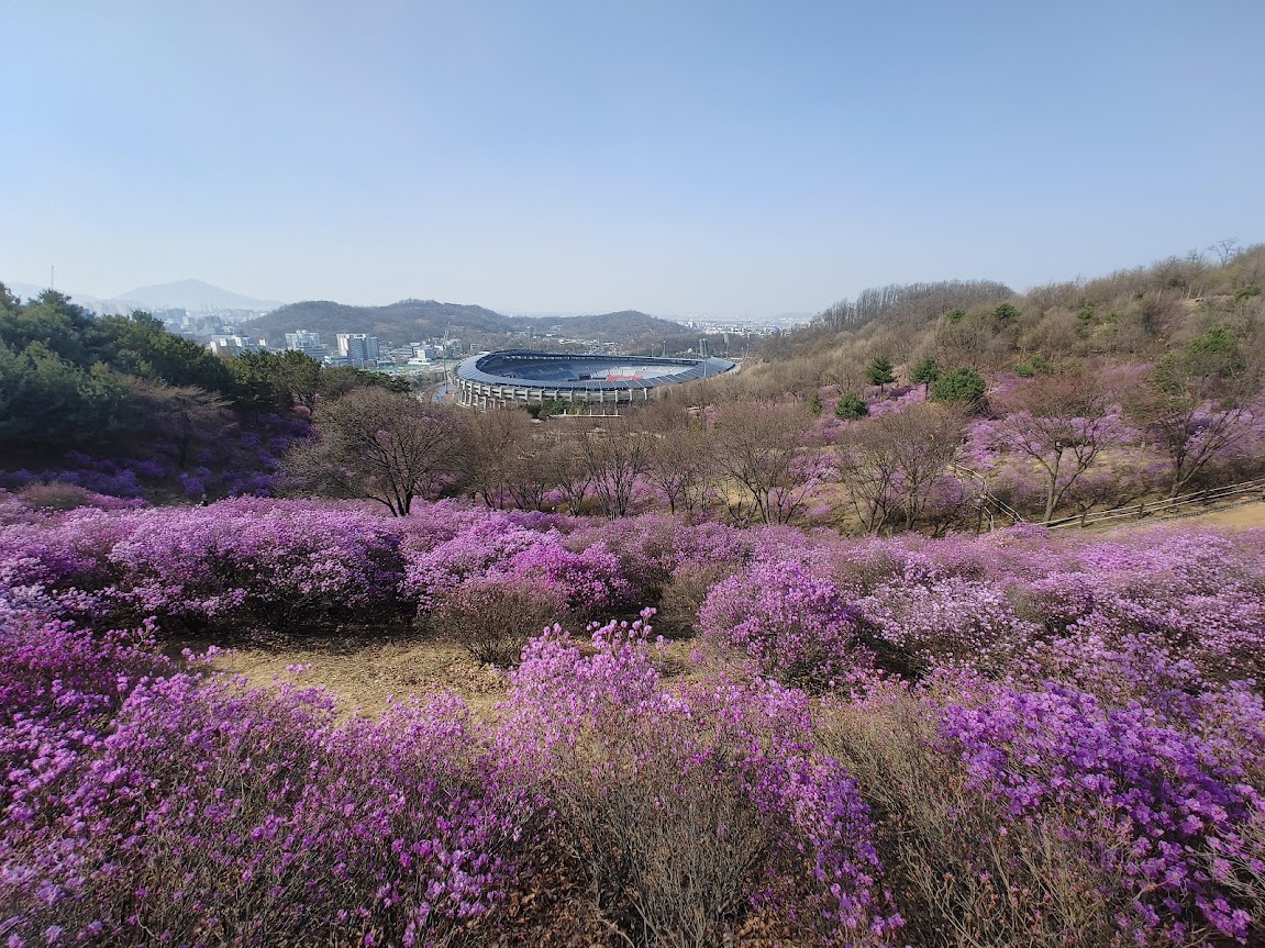 부천 진달래동산