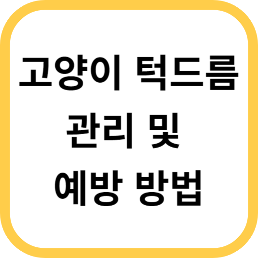  고양이 턱드름 관리 및 예방 방법