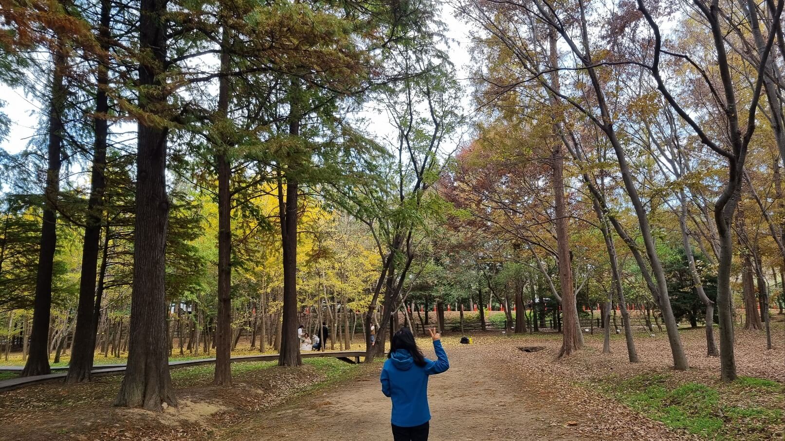 산림환경연구원