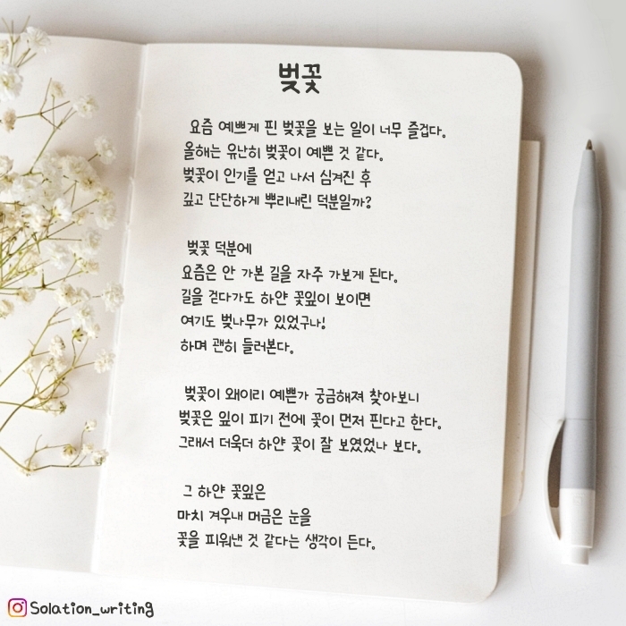 벚꽃을 보며 드는 생각