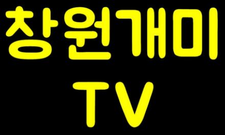  주식 차트 보고 트레이딩 하려는 분들께 도움이 될만한 유투브 (창원개미TV)