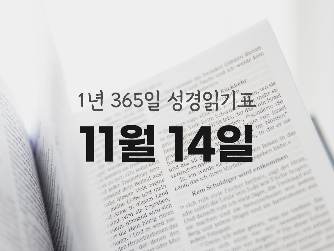 1년 365일 성경읽기표 11월 14일 사도행전 성경읽기 진도표 다운로드