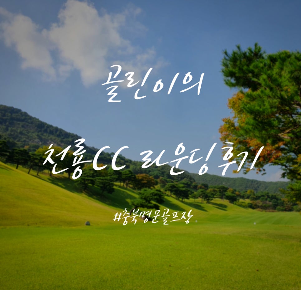 천룡 이미지