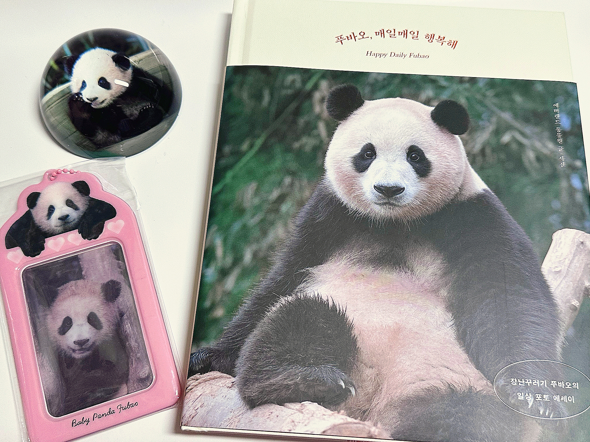  푸바오 매일매일 행복해 #강철원사육사님 #강바오 #예스24