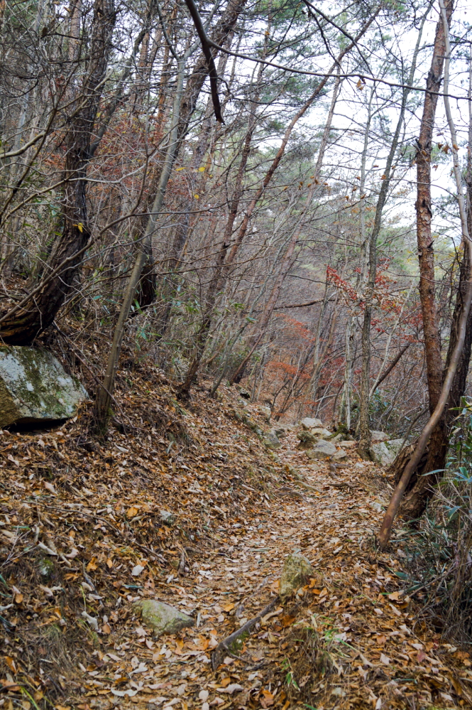 한국 명산 전남 곡성 여행 동악산 등산 mountain hiking