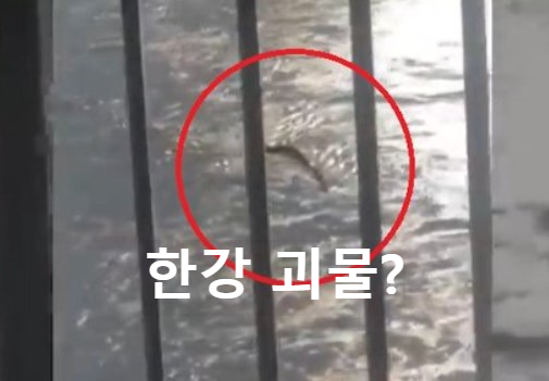 한강-괴물-목격자-사진-썸네일