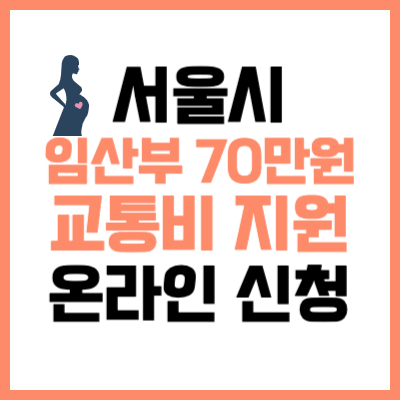 서울 임산부 70만원 교통비 지원
