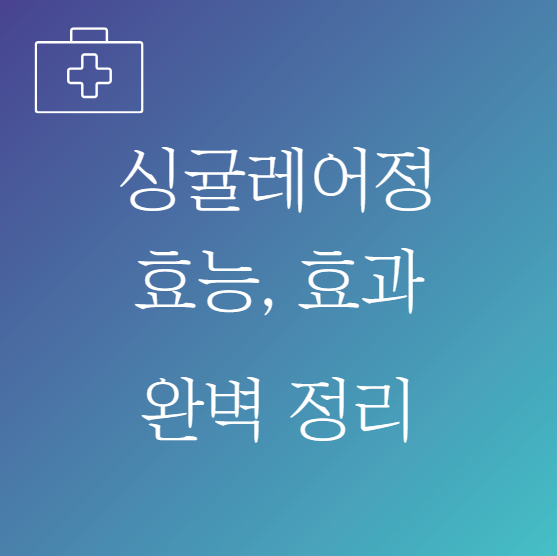 싱귤레어정