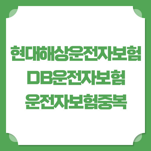 현대해상 다이렉트운전자보험 현대해상 운전자보험 DB다이렉트운전자보험 비교해보시고 5