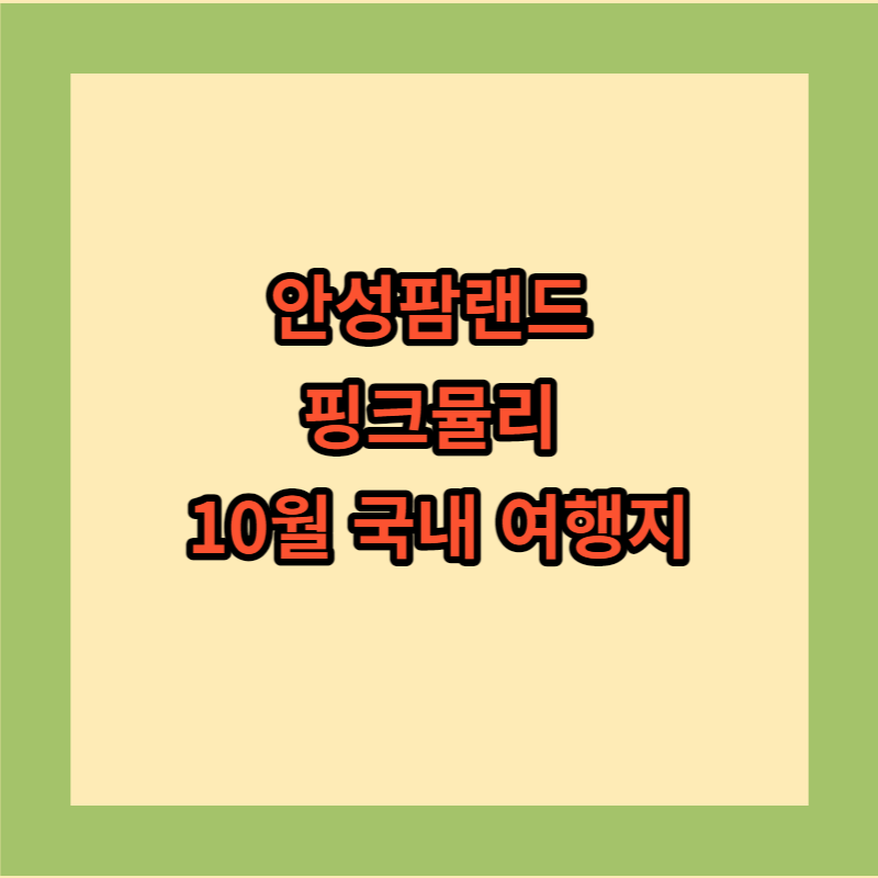 안성 팜랜드 핑크뮬리 10월 국내 여행지