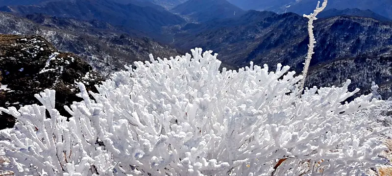 지리산 설경 상고대