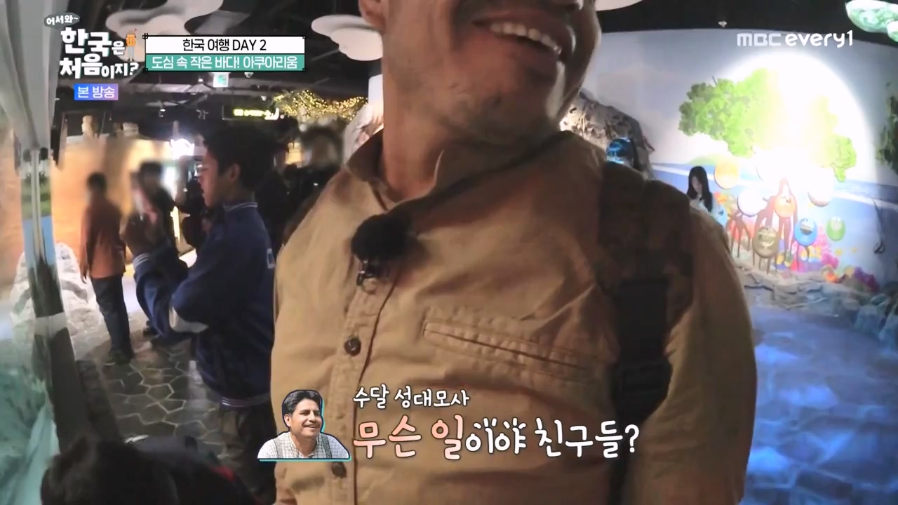 어서와 한국은 처음이지 시즌2.E290.231124p-NEXT.mp4_20231124_205337.960.jpg