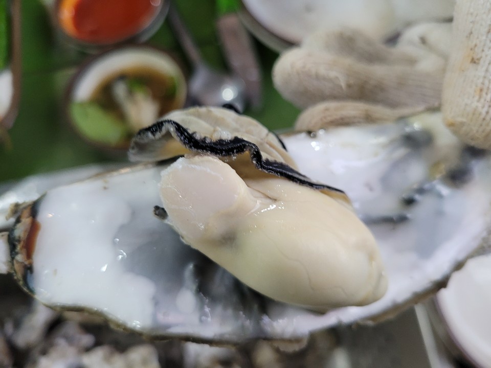 태상굴장어구이 이미지