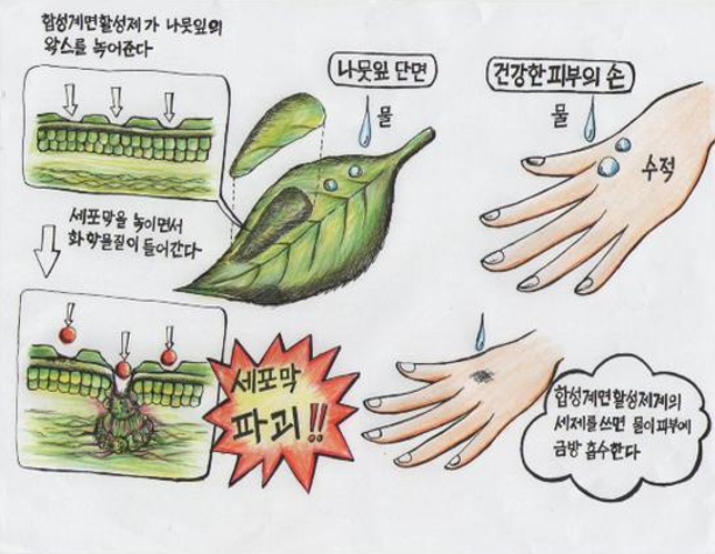  경피독(2)