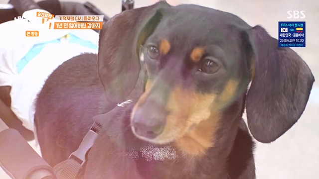 순간포착 세상에 이런일이.E1237.230716p-NEXT.mp4_20230716_174205.998.jpg