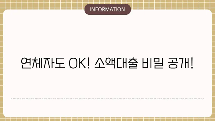 연체자 소액대출