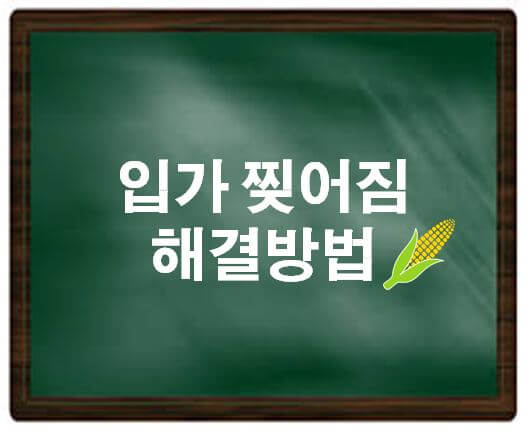  입가 찢어짐 해결방법