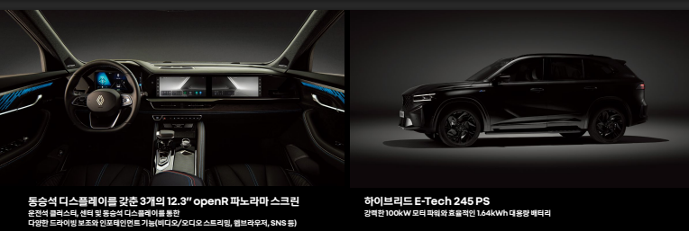 그랑 콜레오스 에스프리 알핀 누아르