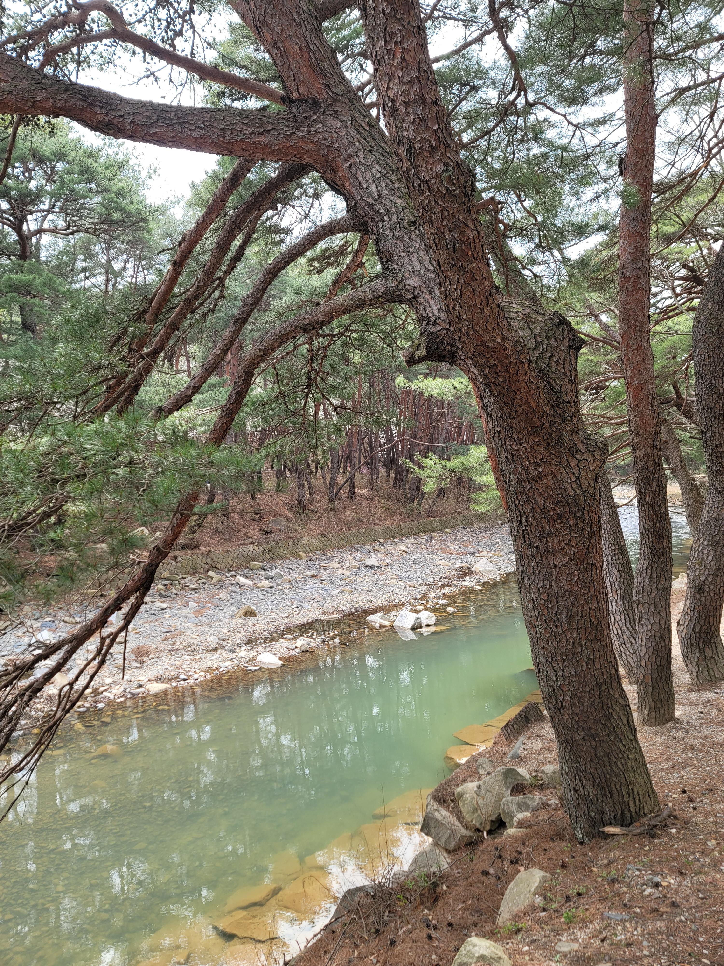 통도사