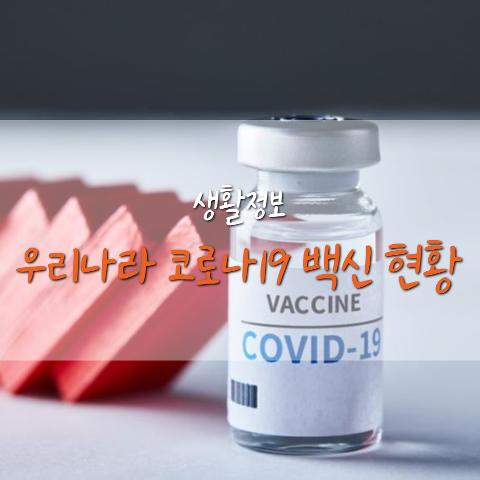 우리나라 코로나19 백신 접종 현황과 향후 일정은?
