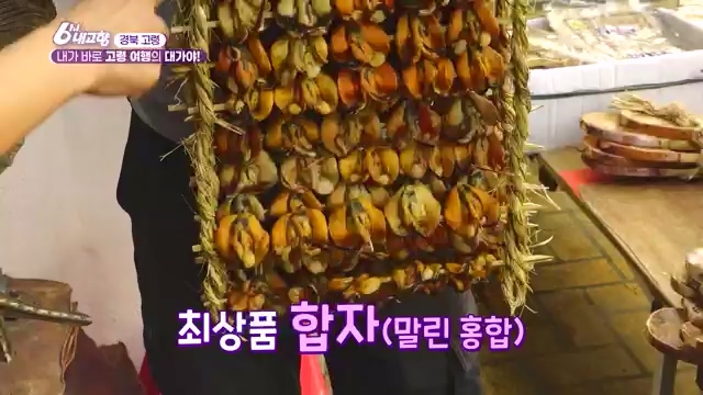 [7910회] 6시 내고향 - KBS[7910회] 6시 내고향[고령 축제 특집 중계] 과거와 현재의 만남! 개실마을 - 경북 고령 고령 가야 탐험대 보물을 찾아라 - 경북 고령 [출장! 내고향 요리사] 철의 왕국, 후손을 위한 요_20231115_205758.211.jpg