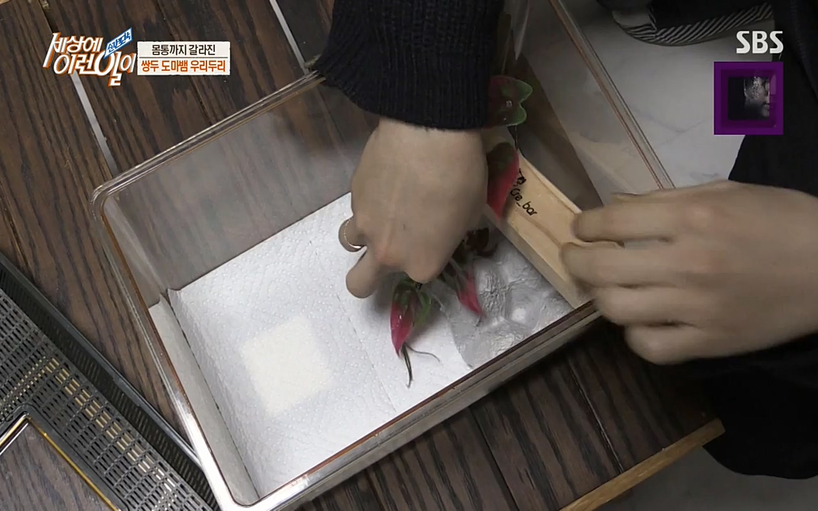 순간포착 세상에 이런일이.E1174.220406p-NEXT.mp4_20220406_174442.914.jpg
