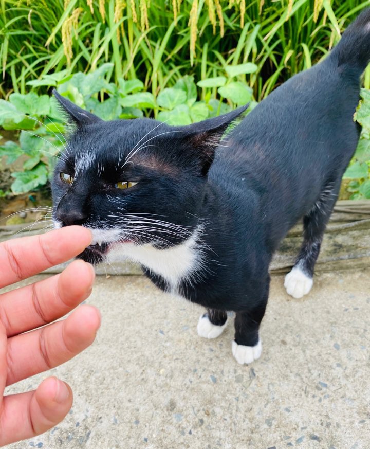 가을 들판 사진 가을 들판에서 13