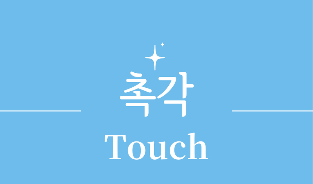 '촉각(Touch)'
