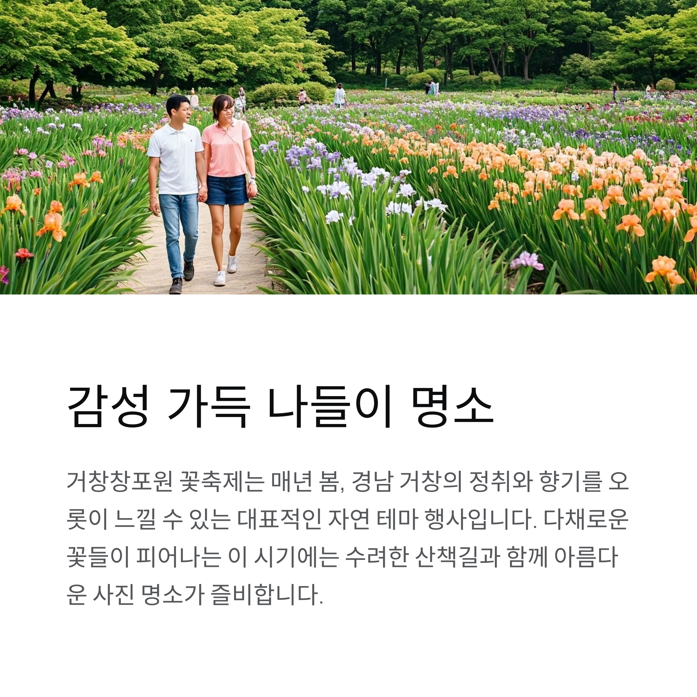 봄의 절정을 담은 거창창포원 꽃축제, 감성 가득 나들이 명소