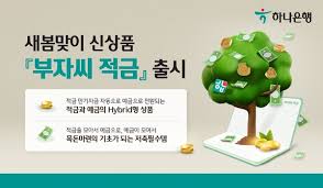 꼭이야 이미지