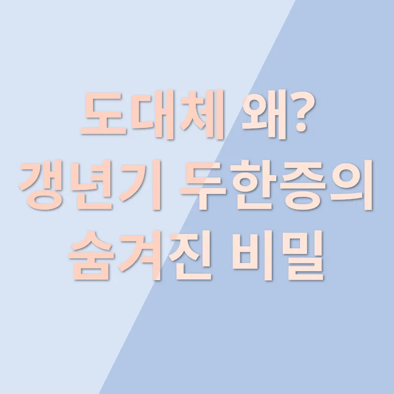 갱년기 두한증_1