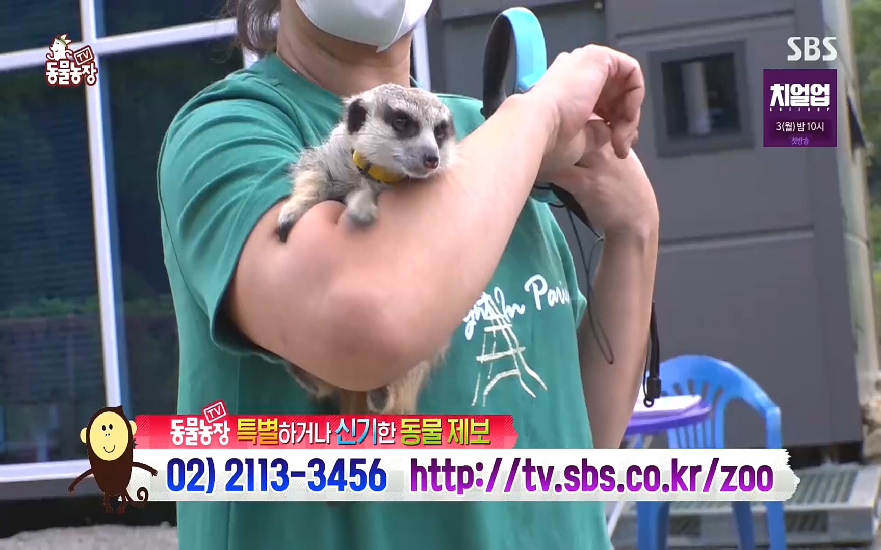 TV 동물농장.E1088.220925p.H264-F1RST.mp4_20220925_174412.323.jpg