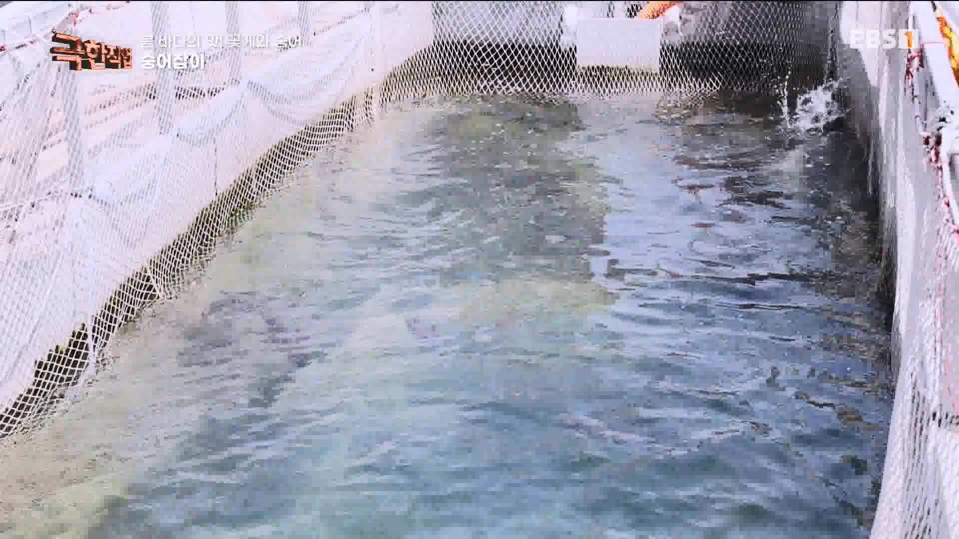 극한 직업 꽃게와 숭어 1080p.mp4_20230530_194651.937.jpg