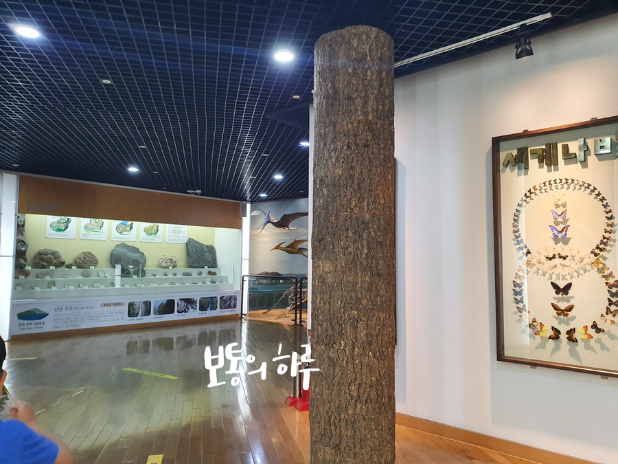 무주 반디랜드 다녀왔어요 대전 근교 가볼만한곳 26