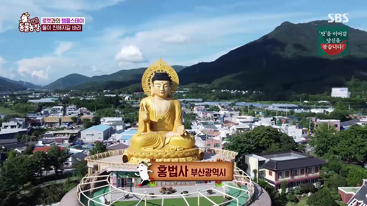 TV 동물농장 1189화 다시보기.ts_20240922_161523.410.jpg