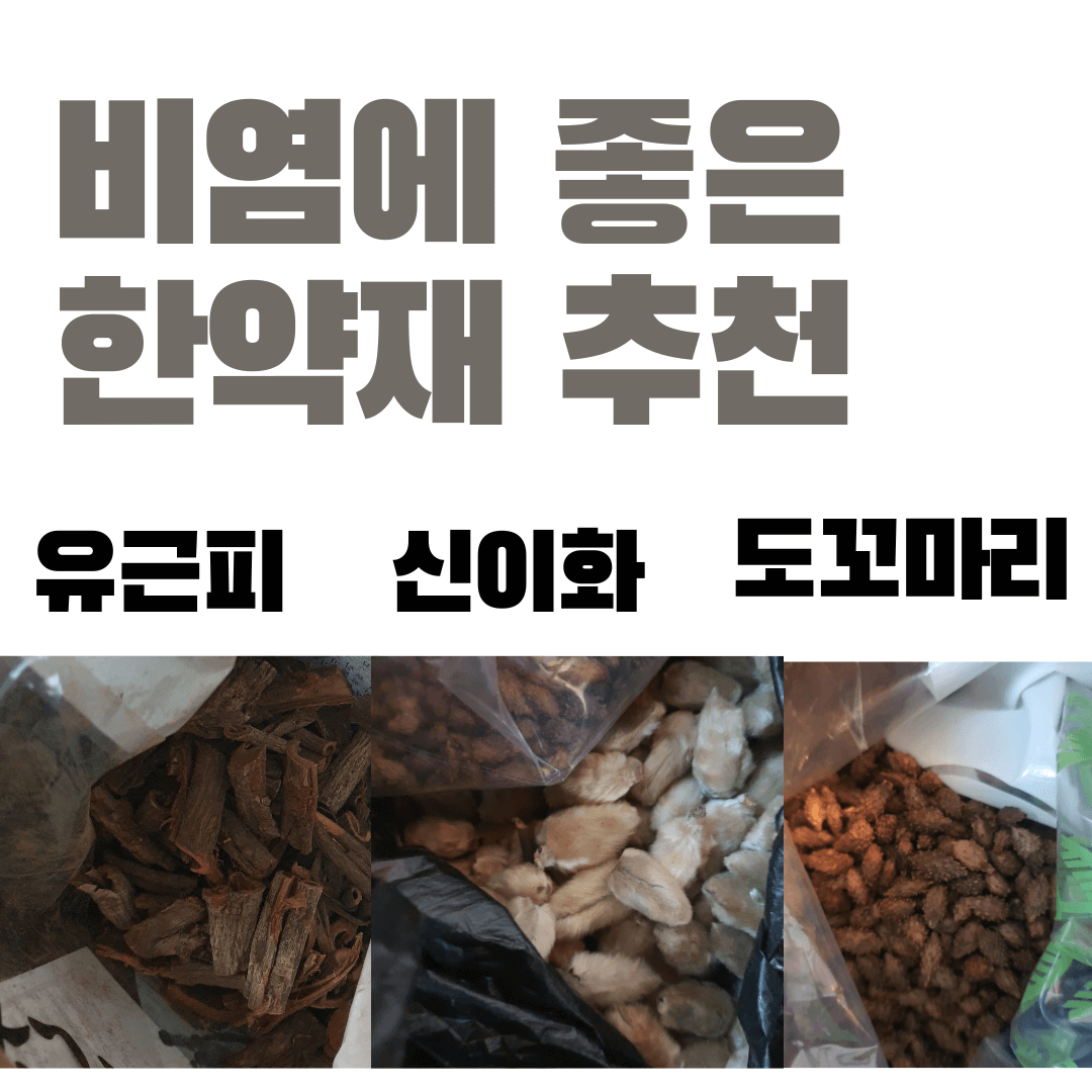  도꼬마리 (창이자) 유근피 신이화 비염 축농증 치료를 위해 우려 마시기