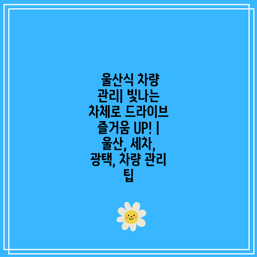  울산식 차량 관리 빛나는 차체로 드라이브 즐거움 UP