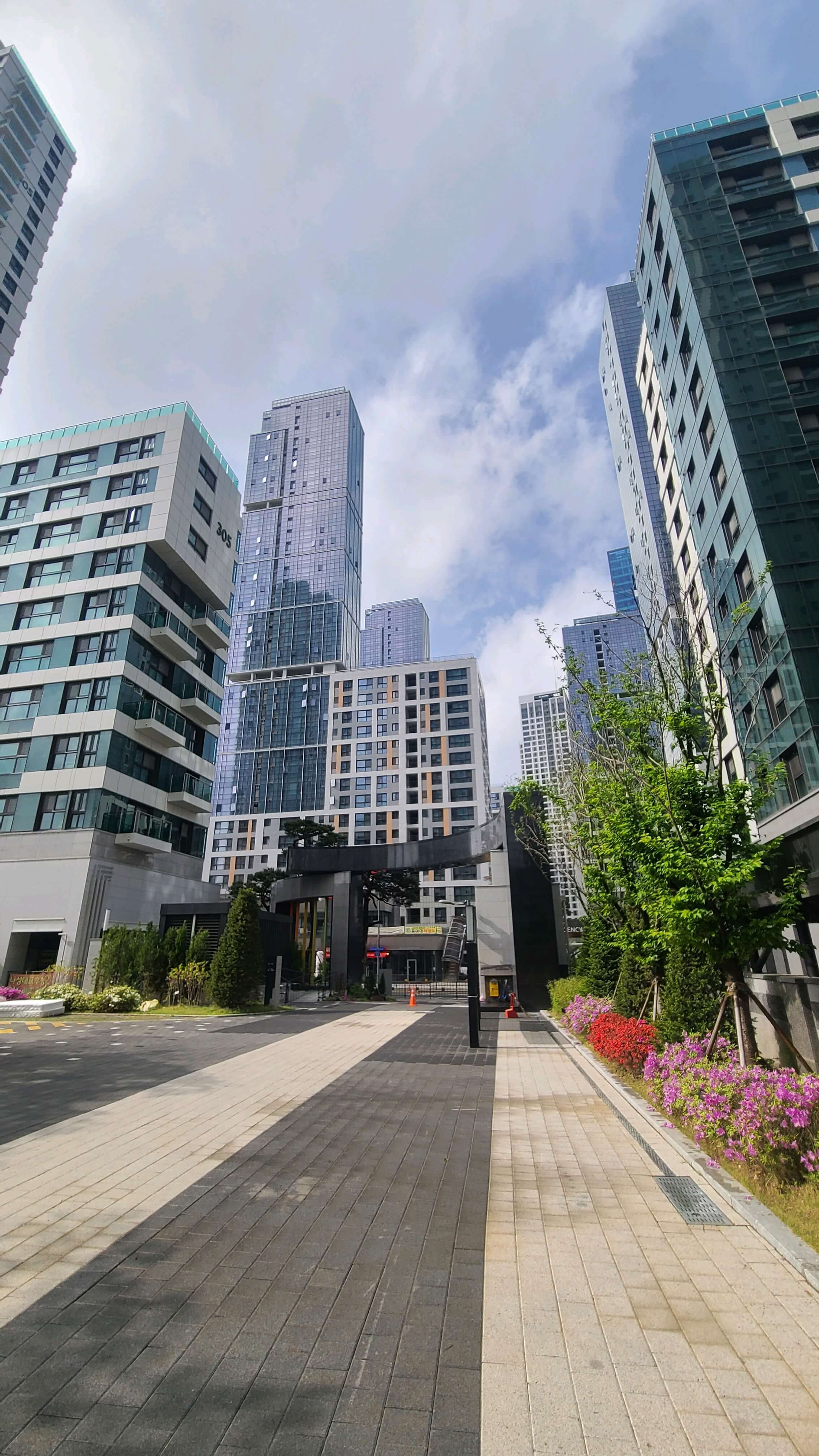 나성동제일경관채 위너스카이