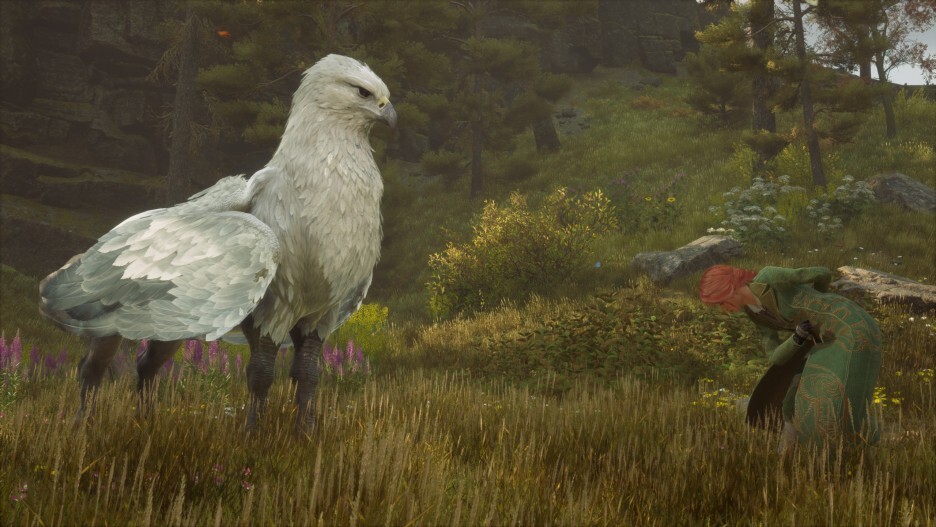 (Hogwarts Legacy) 사소한 게임 스크린샷 모음 61