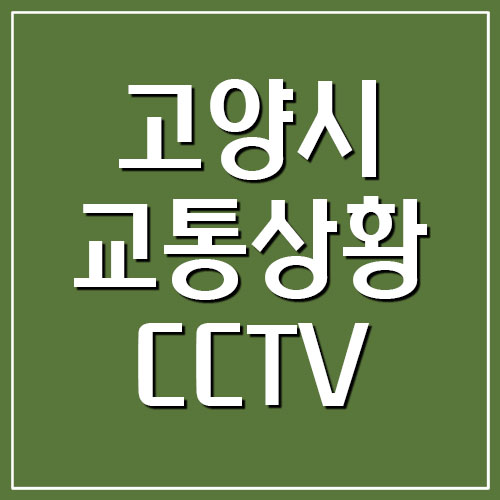  고양시 실시간 교통상황 및 CCTV 영상 보기 (덕양구, 일산서구, 일산동구)