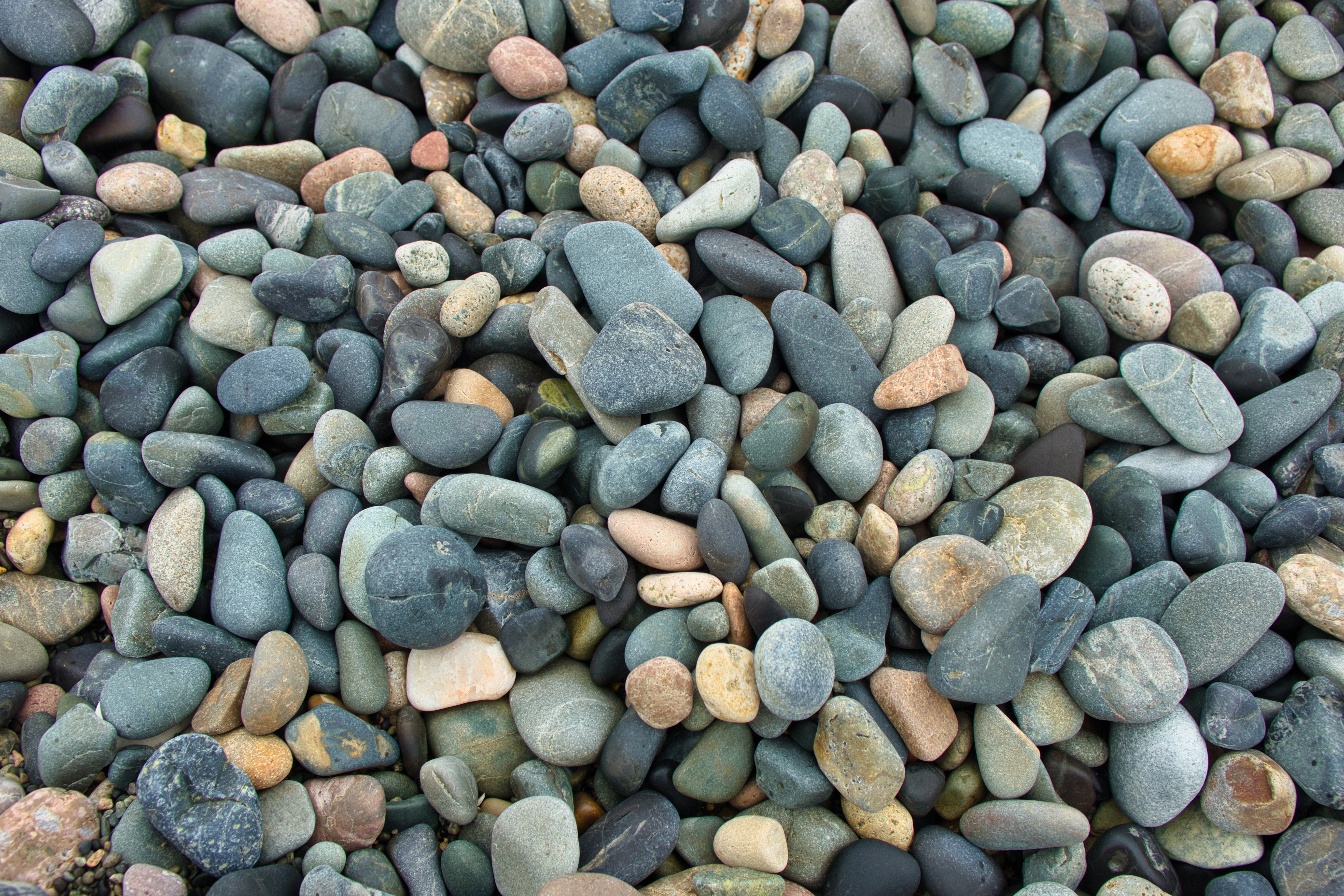 img.jpg